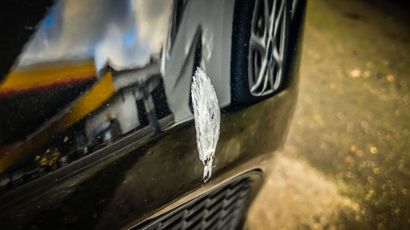 Paint damage from bird poop!